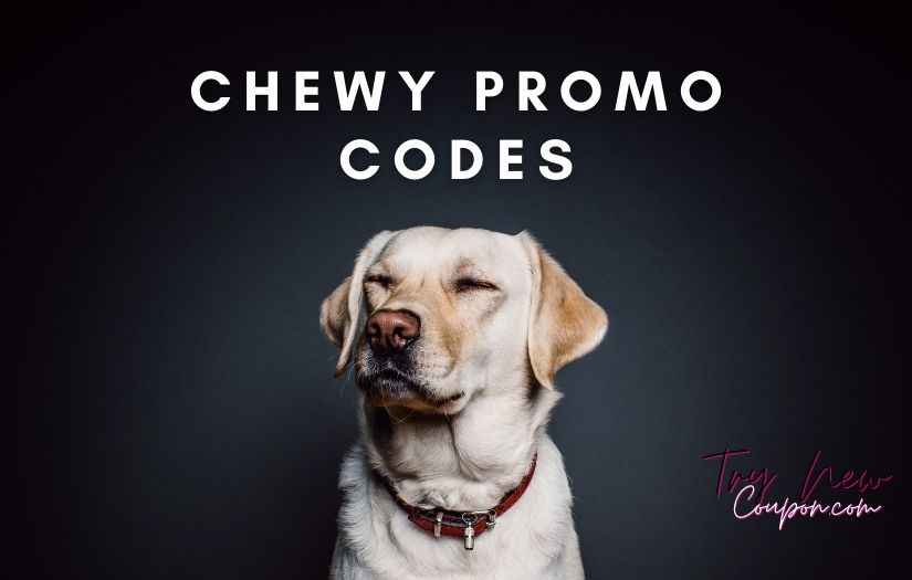 Chewy Promo Code July 2024 30 OFF Coupon Codes Try New Coupon