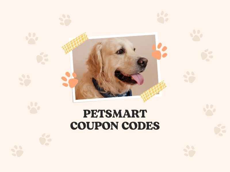 PetSmart 40 OFF Coupons October 2024 Codes Try New Coupon